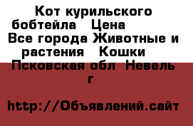 Кот курильского бобтейла › Цена ­ 5 000 - Все города Животные и растения » Кошки   . Псковская обл.,Невель г.